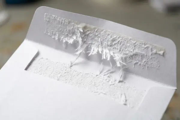 Security envelope showing permanent fiber-tear tamper evidence on paper stock.